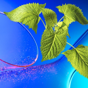 KRKA pharmaceutical product shot with green leaves